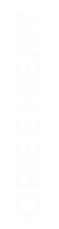 strock-text